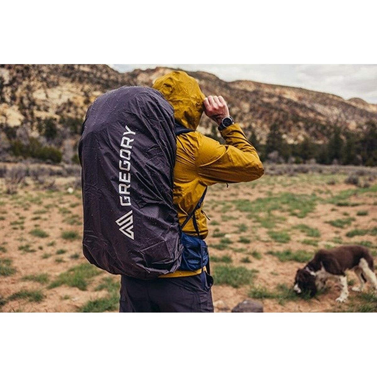 V4HD2811F5AB0C949DC9DA0DAD32CF824F6R6418443P4