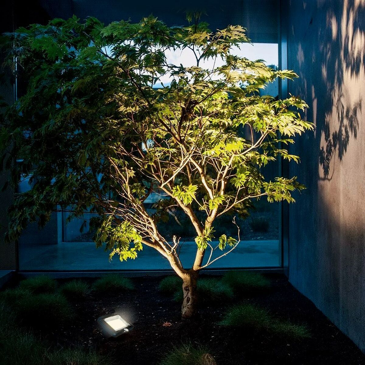 V7H0F7F1F2BA909A1436E77A06232A6FAF4R6423273P10