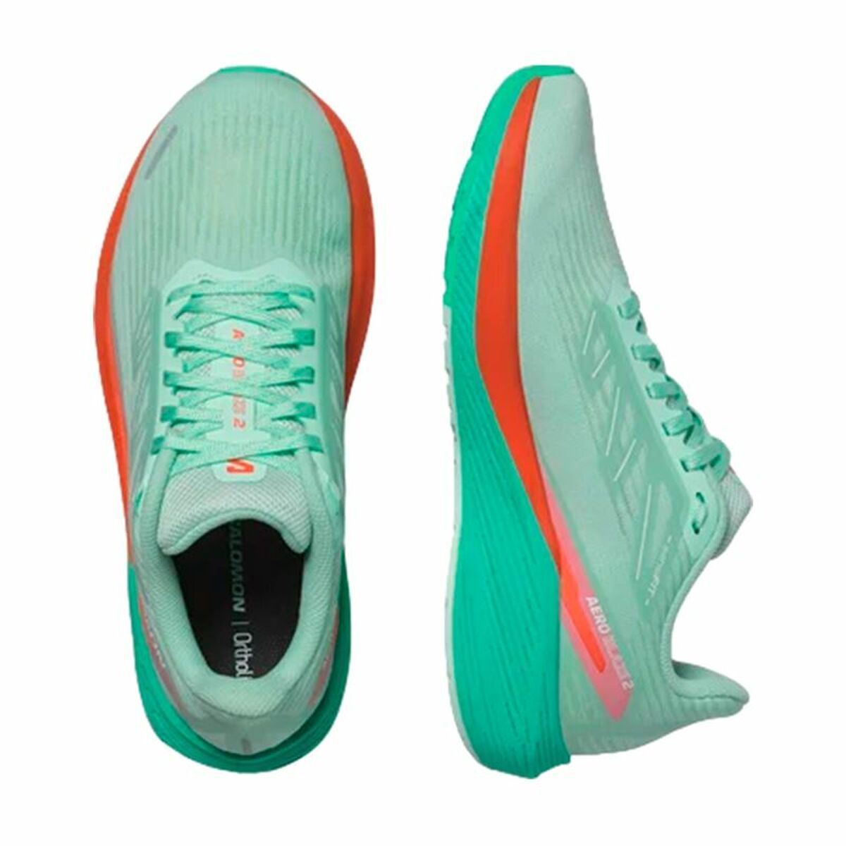 V2H2C262DBD2E015830D9ED16D331EFD390R6073130P4