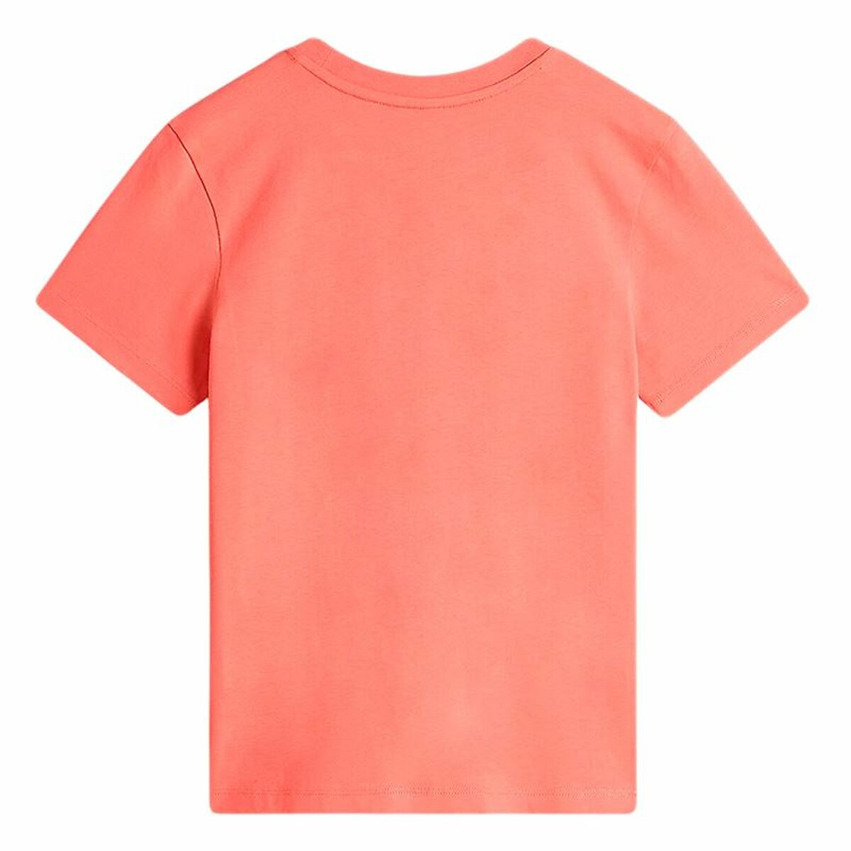 V2HE02ECCFBDF405AF9DFDA6DAE60E53F92R6017877P2