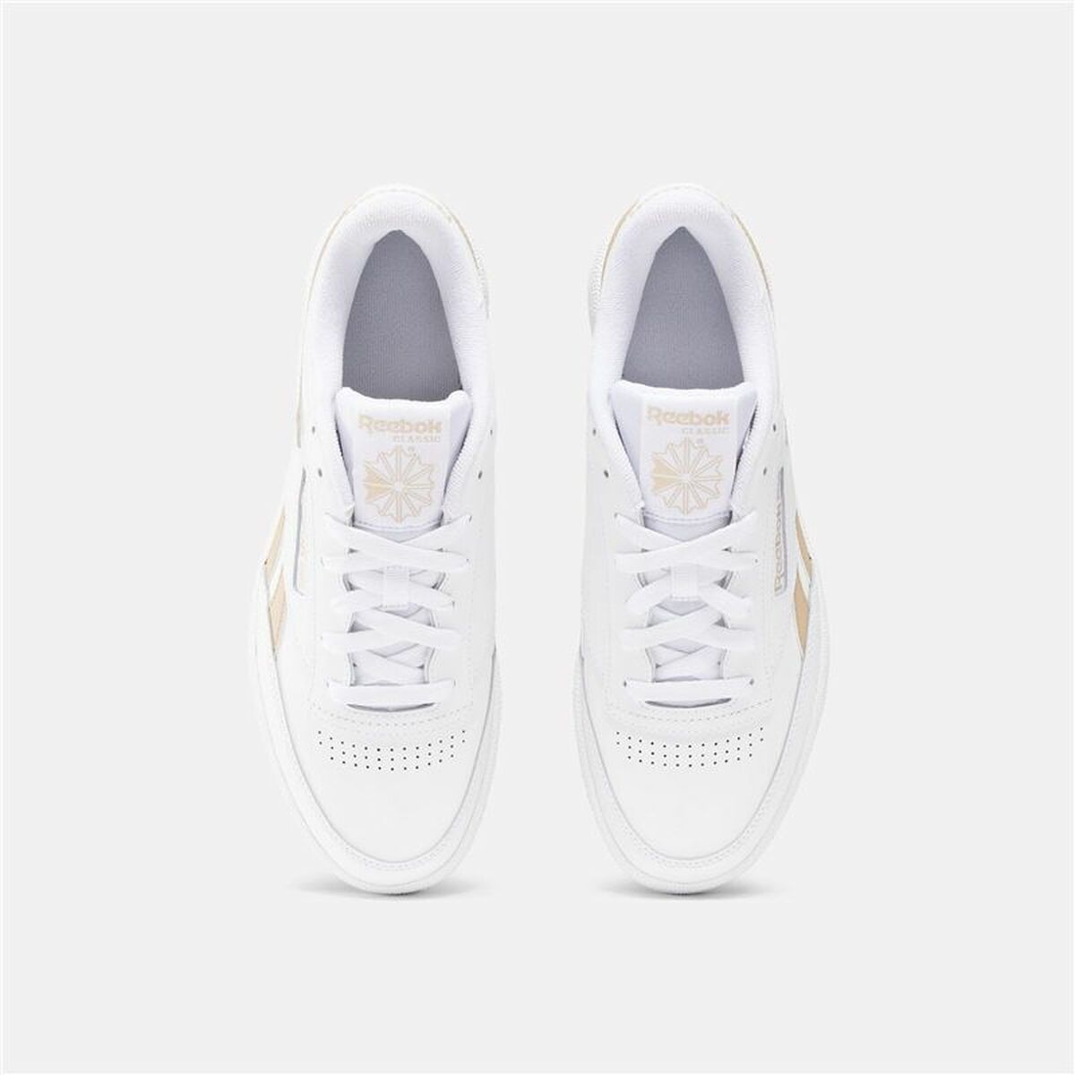 V2HCFBE70B77B4E0DBCE3E4094DC589D2D4R5748734P3