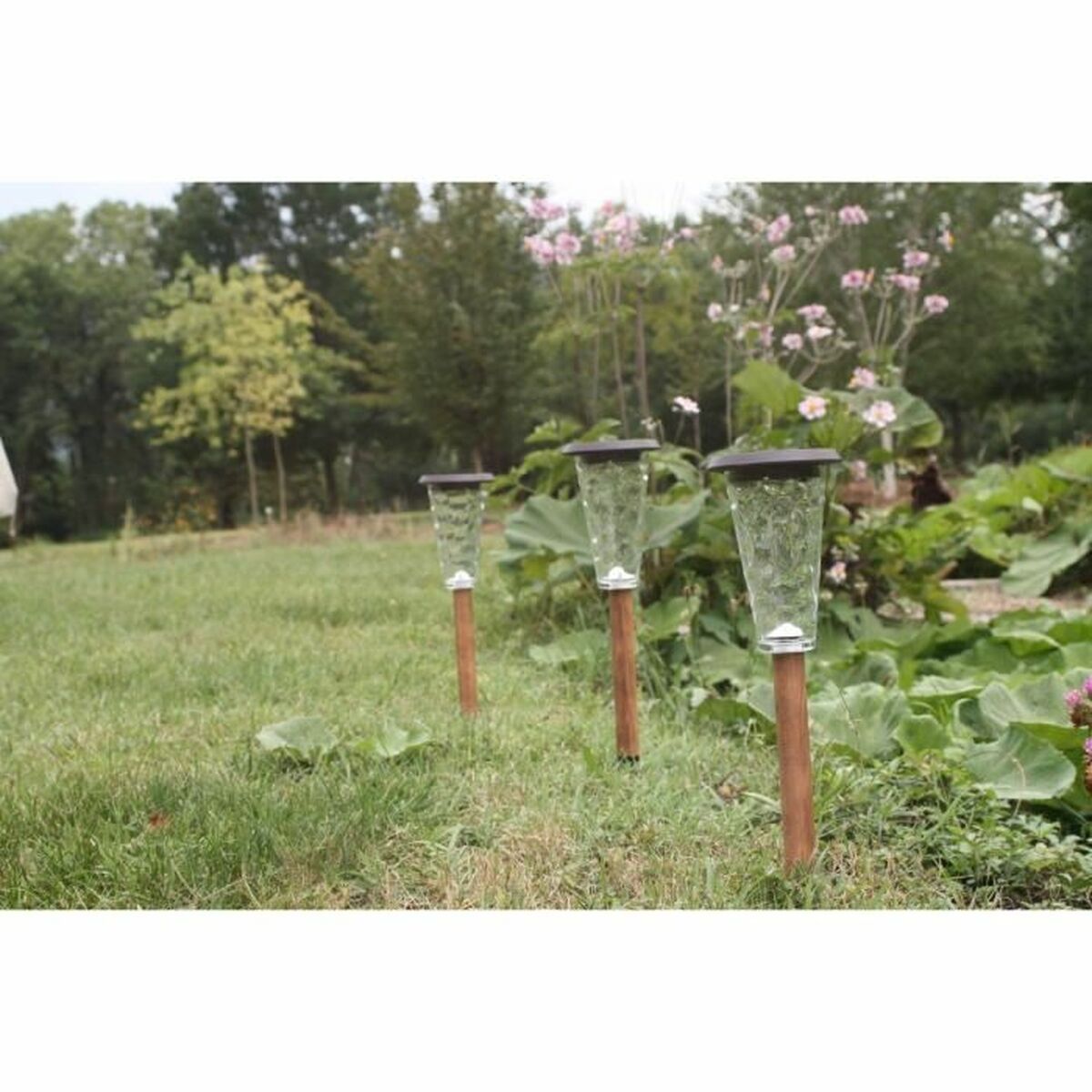 V3H0A3EFA6500D33A9AF92142CFC21EBFA9R5567698P3