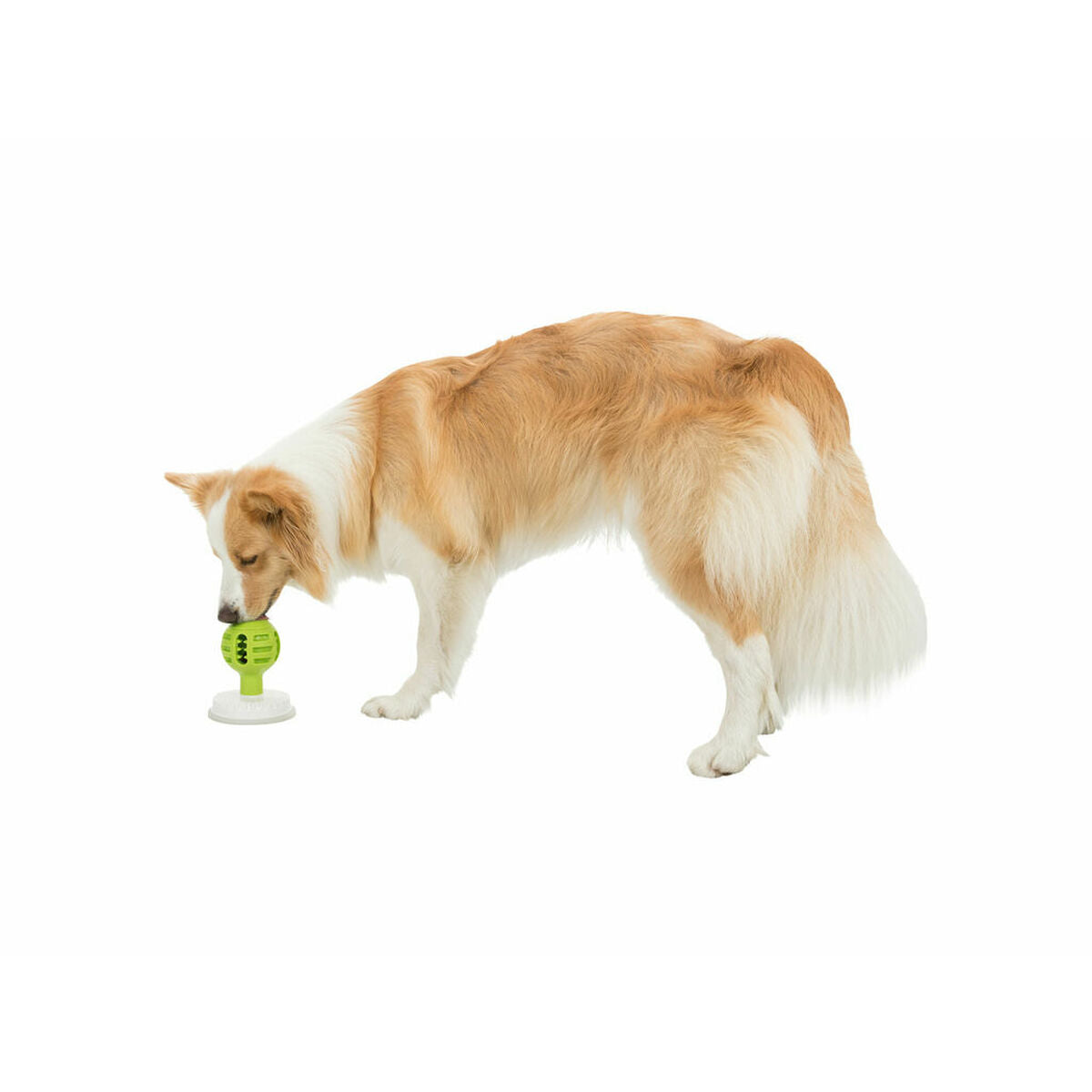 V4H05ECEC5DF79708A17AEB32ACB39E3C69R6370289P9