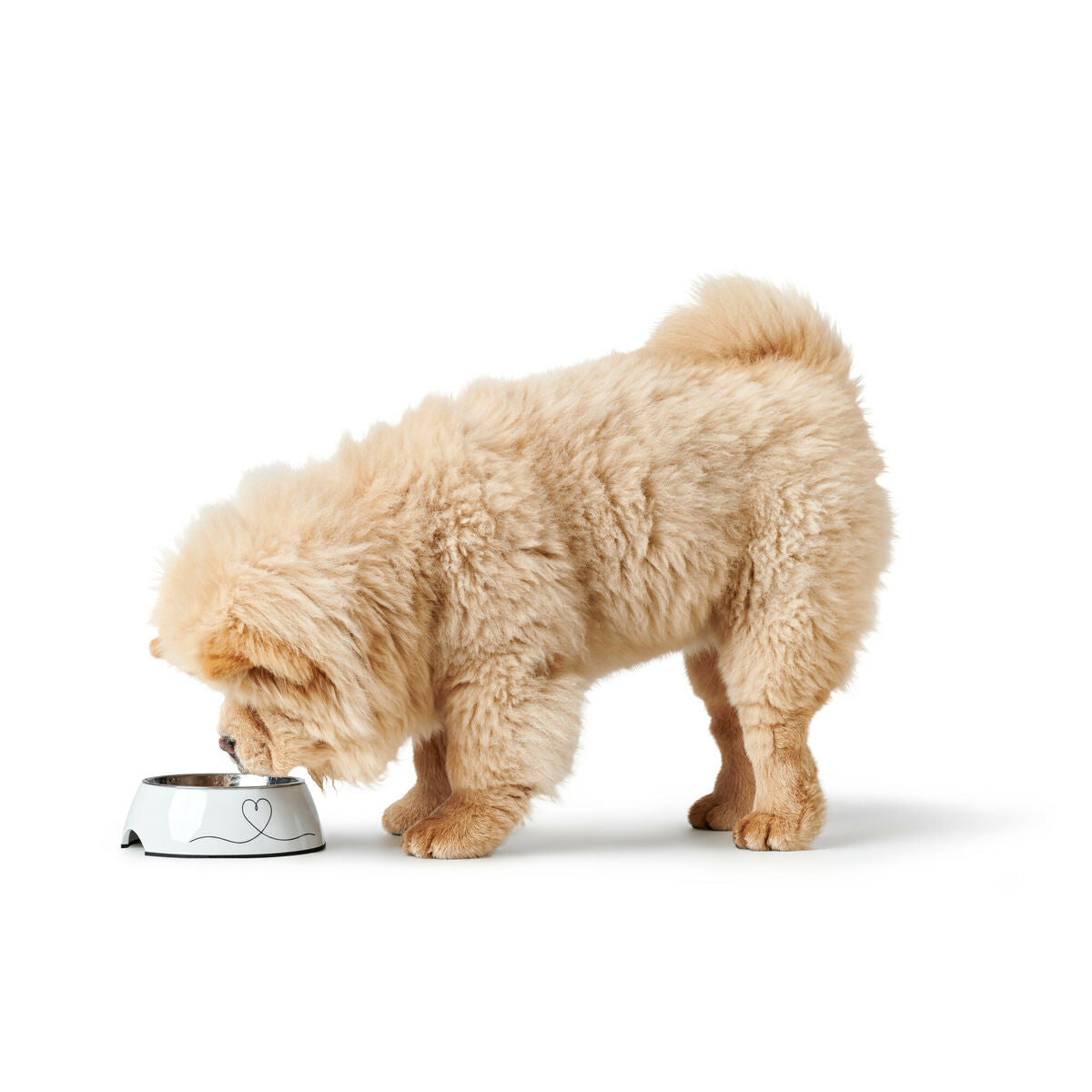 V2HA62268CCC05BBC695B04DEB764F21196R5574386P2