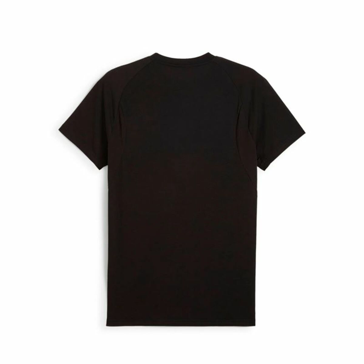 V2H62A531944418BA3E31BFDA026AED51AFR5679974P2