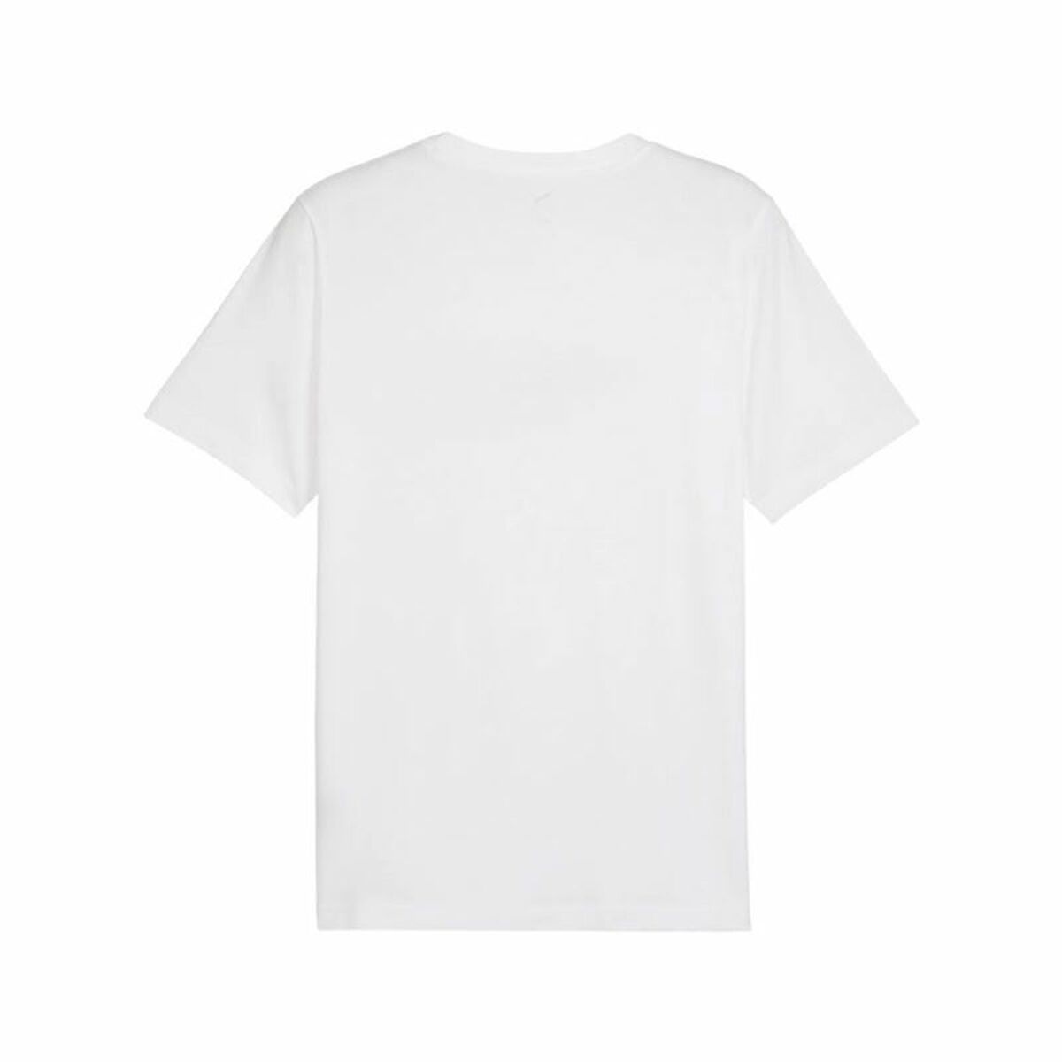 V3HF180F843B0015534C022D8E36FDBFCD7R6528446P2