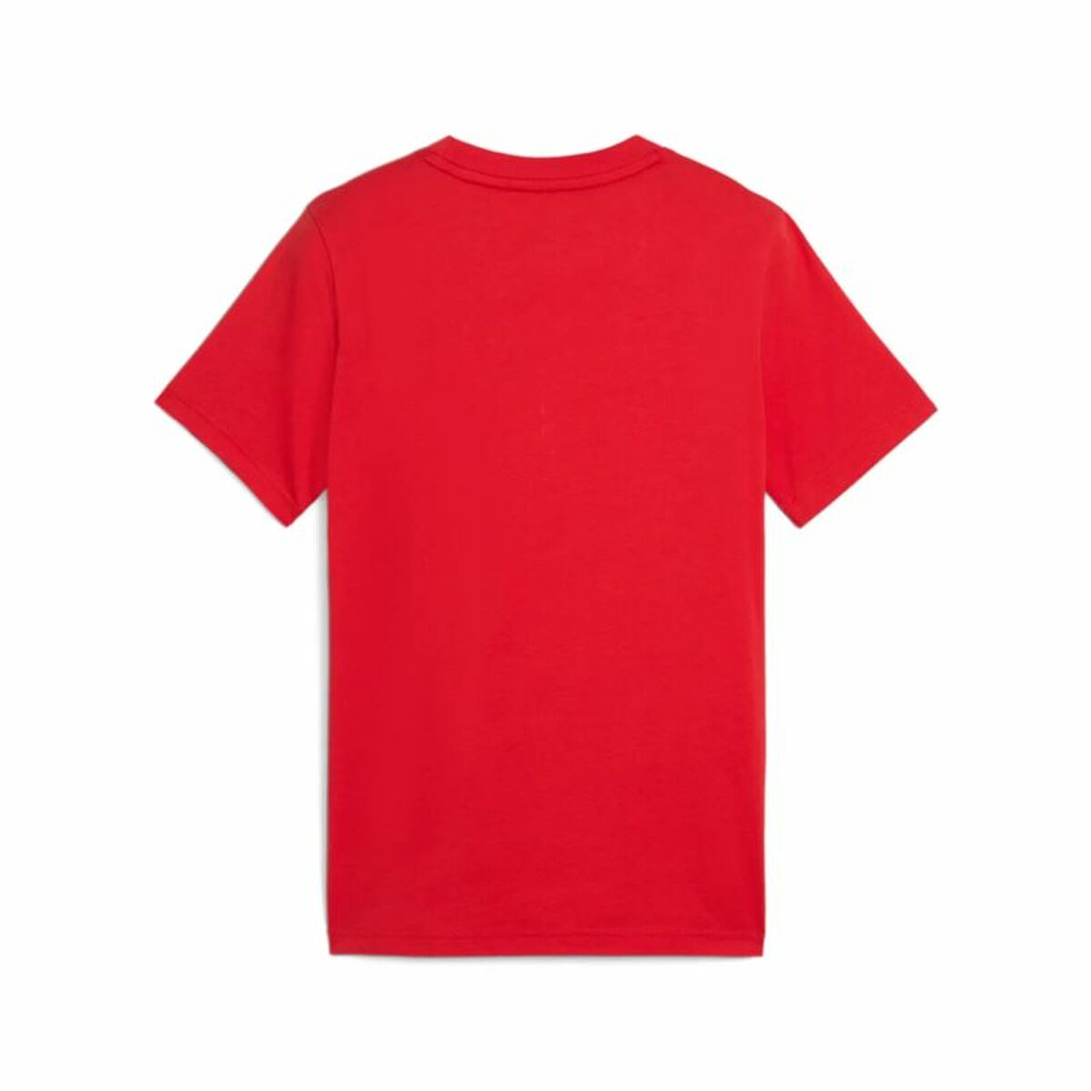 V2H6CFC8AE27CB0FE97EAED72717A043CB3R6019317P2