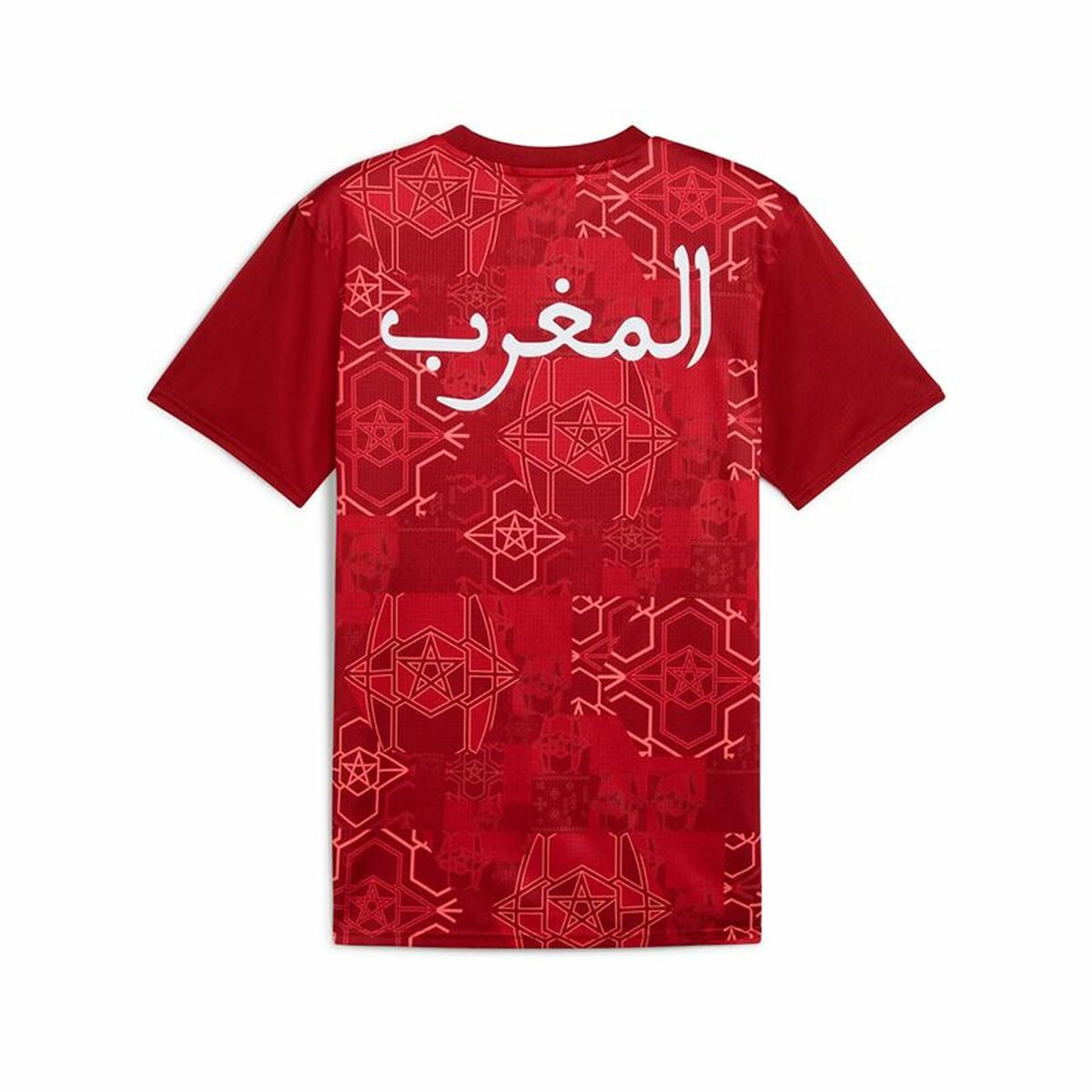 V2HCA7192A914C352D24B940147E1BE0224R6019223P2