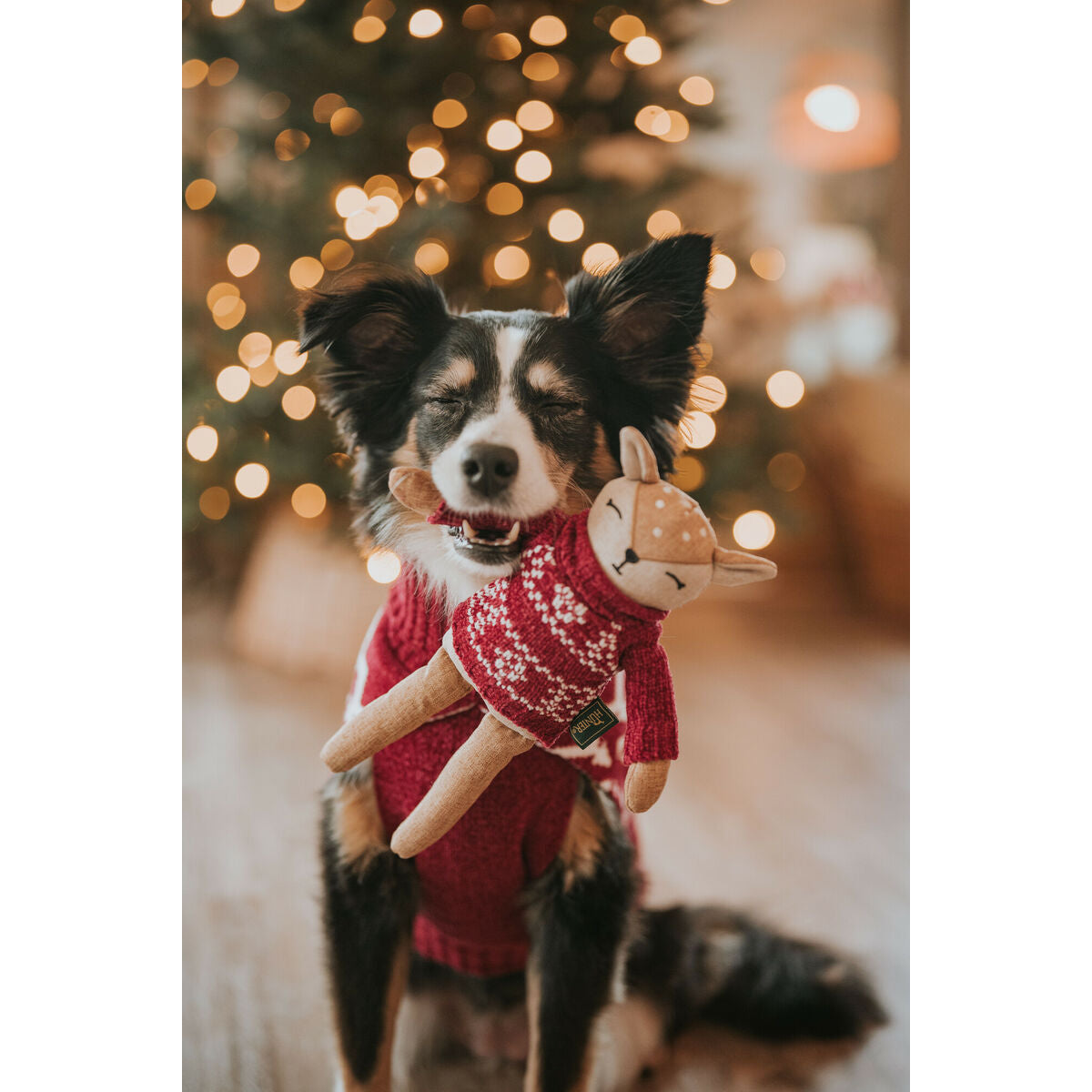 V2HE5E4C57D4B2CB5B8E998FC906940F3EAR5574730P4