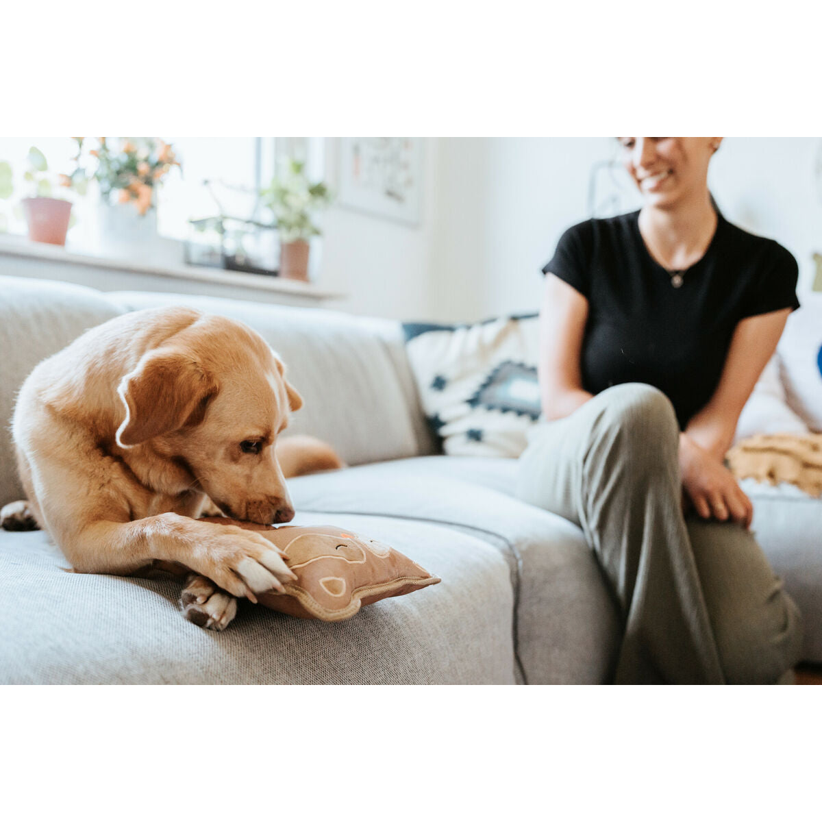 V2HA60E28B38E413090BA559554FF5A2C96R5574799P3