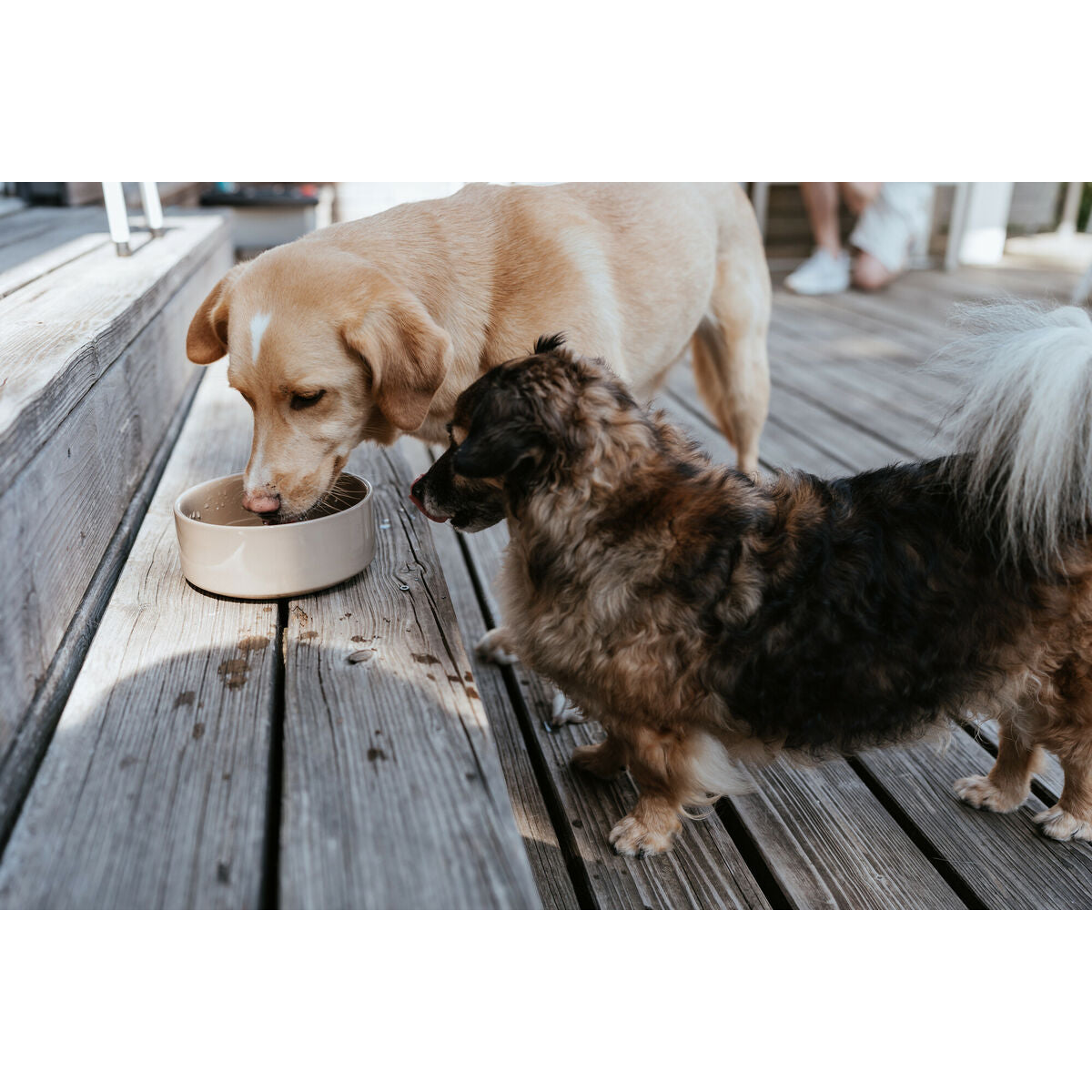 V2HAA186646D85E8051D66CAE8B3CC406EFR5587762P3