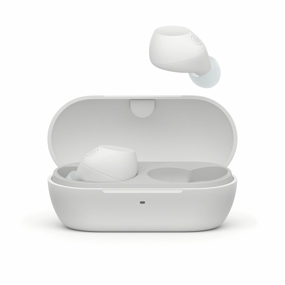 V2HCF0F4954BE1D0A5341FCA79E955DA3E5R6169081P6