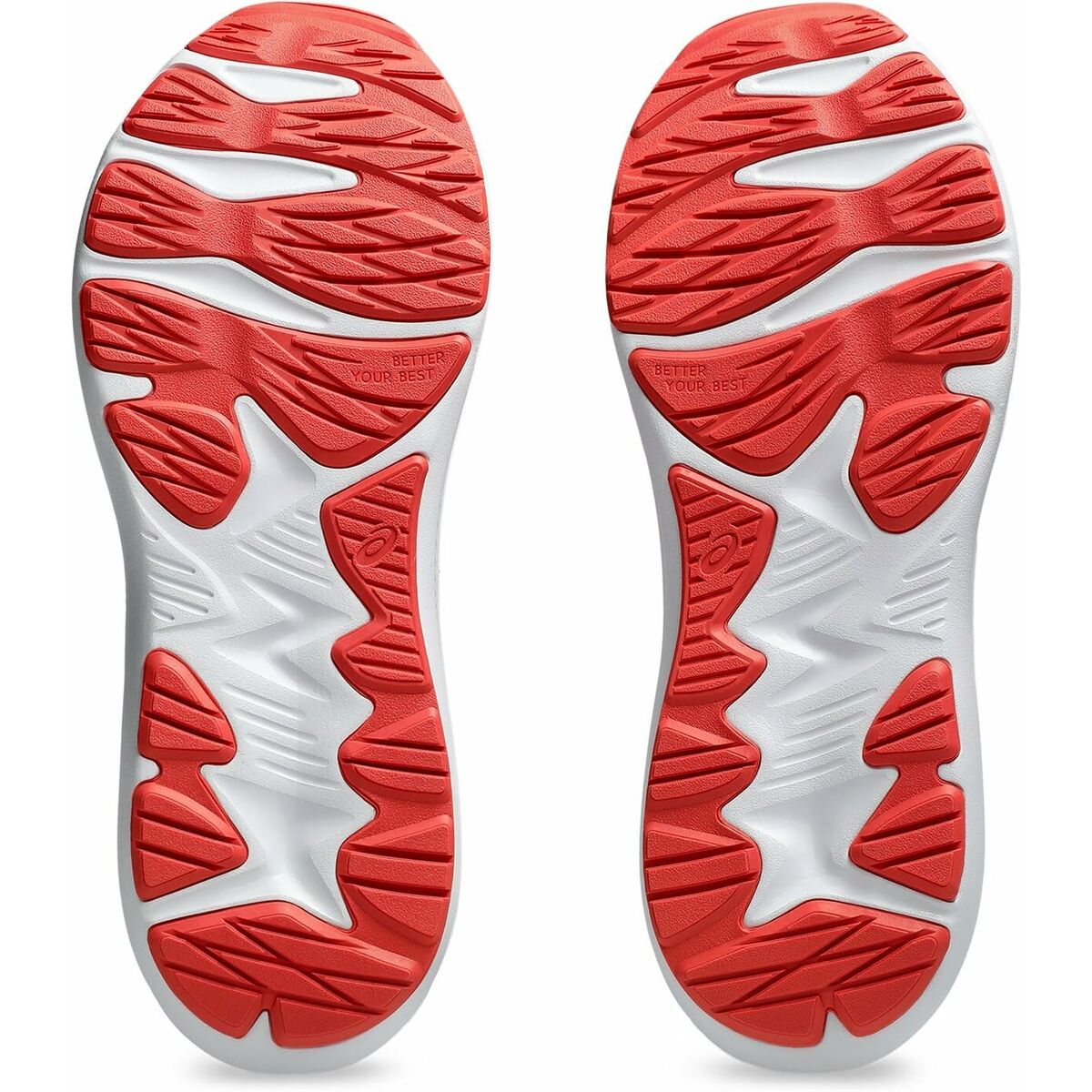 V2H5BC79E6FA43AAAD47ED95BE3D5A4D2D4R5844137P3