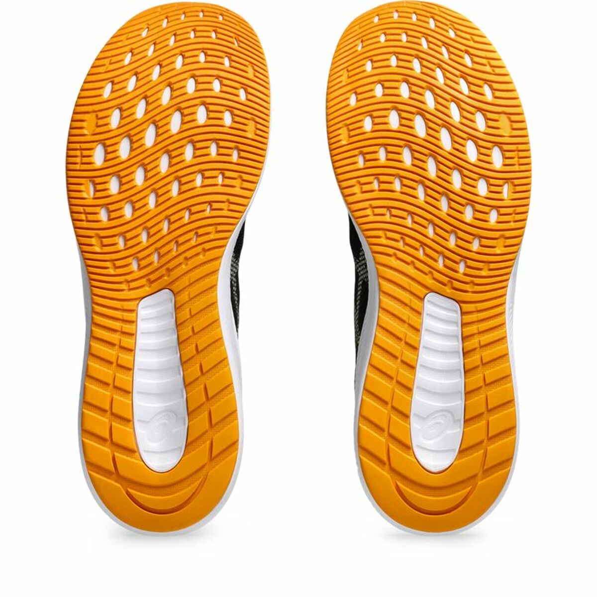 V2H4FF66A559CC8CEA3ACC9C04EA55FB84DR5763773P3