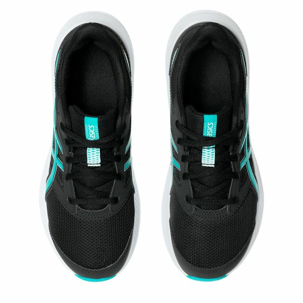 V2HBE7B6F26732EFAB16FB5FB752F42C6E5R5792476P4