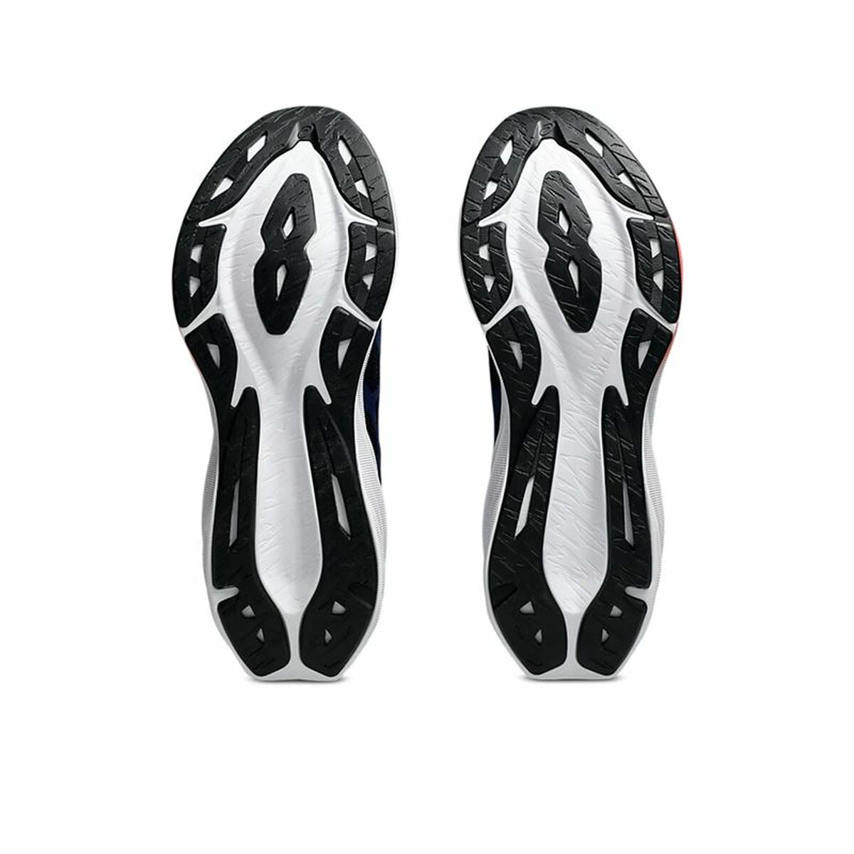 V2H95B679B4EE1385AE15447D80F1699530R5754763P3