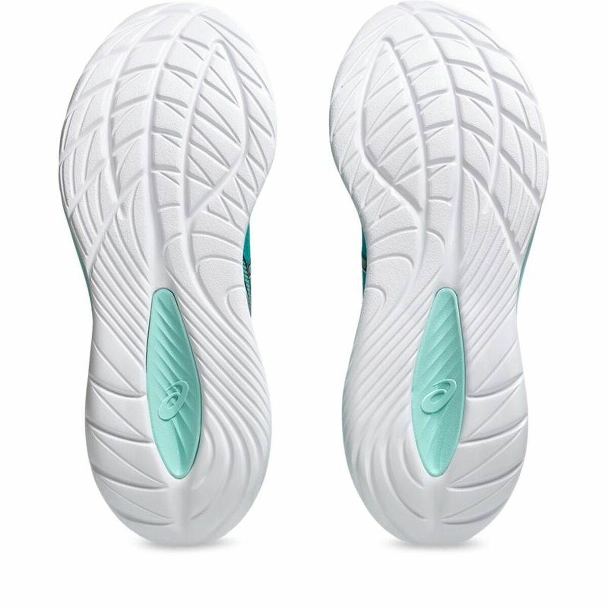 V2HBD89DD436BAFDF1D0CE190E778118793R5791126P3