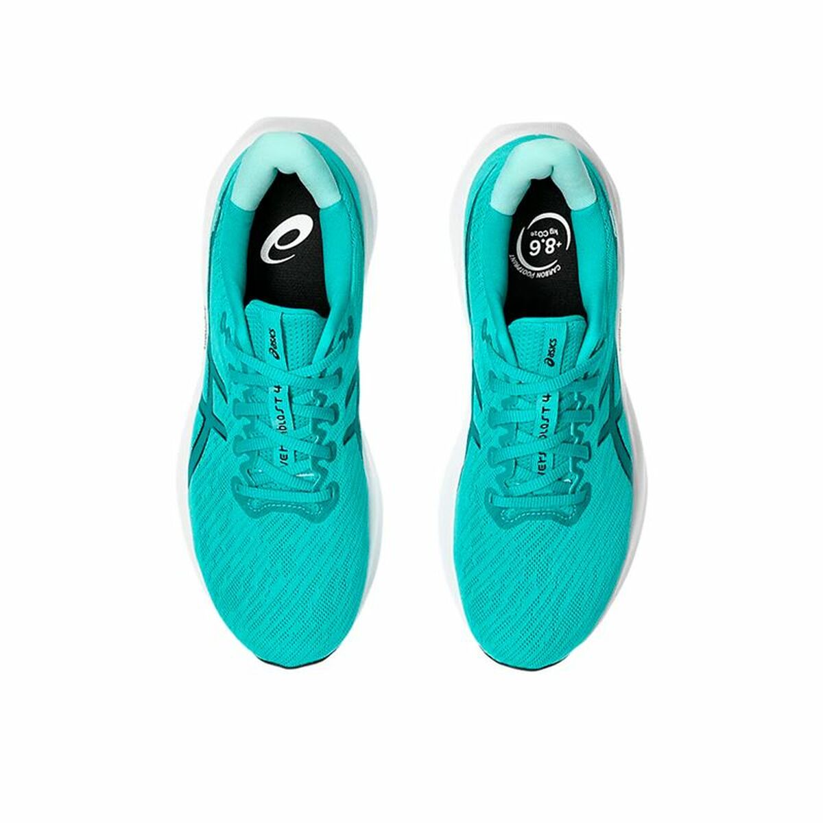 V3HFC4E931A5CDEAC3790A9A97C597B1A4AR6273461P4