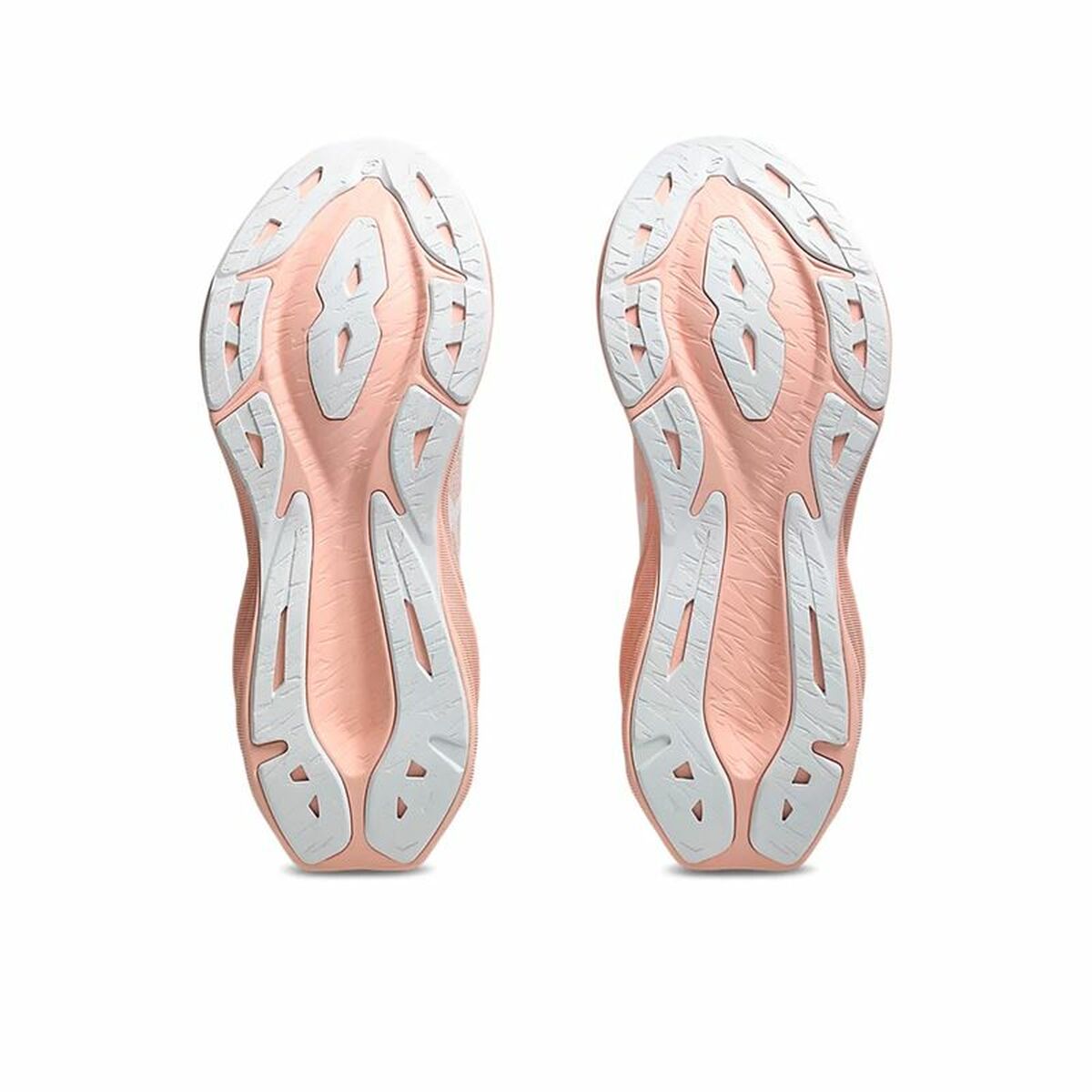 V2HA8FFE50EC618E1EDAF9CB97F1C42D59FR5749569P3