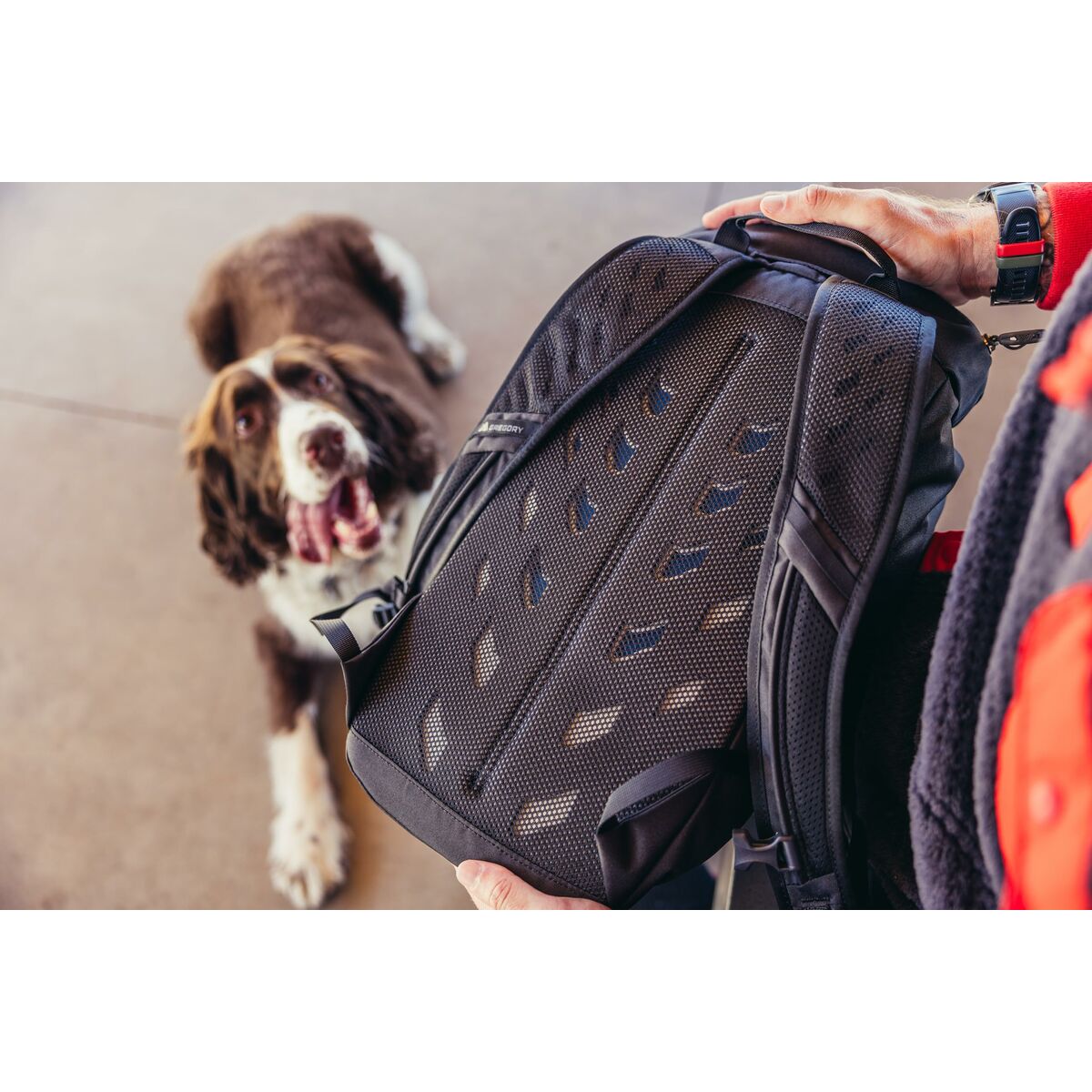 V4H77EAD02027351CD58D0435F17196D252R6420759P4