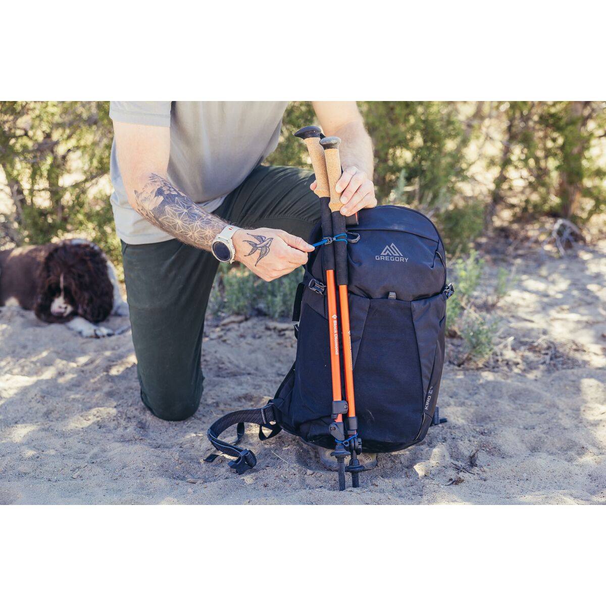 V4H052D016242EF6942F12DE7090E1E7542R6420043P8