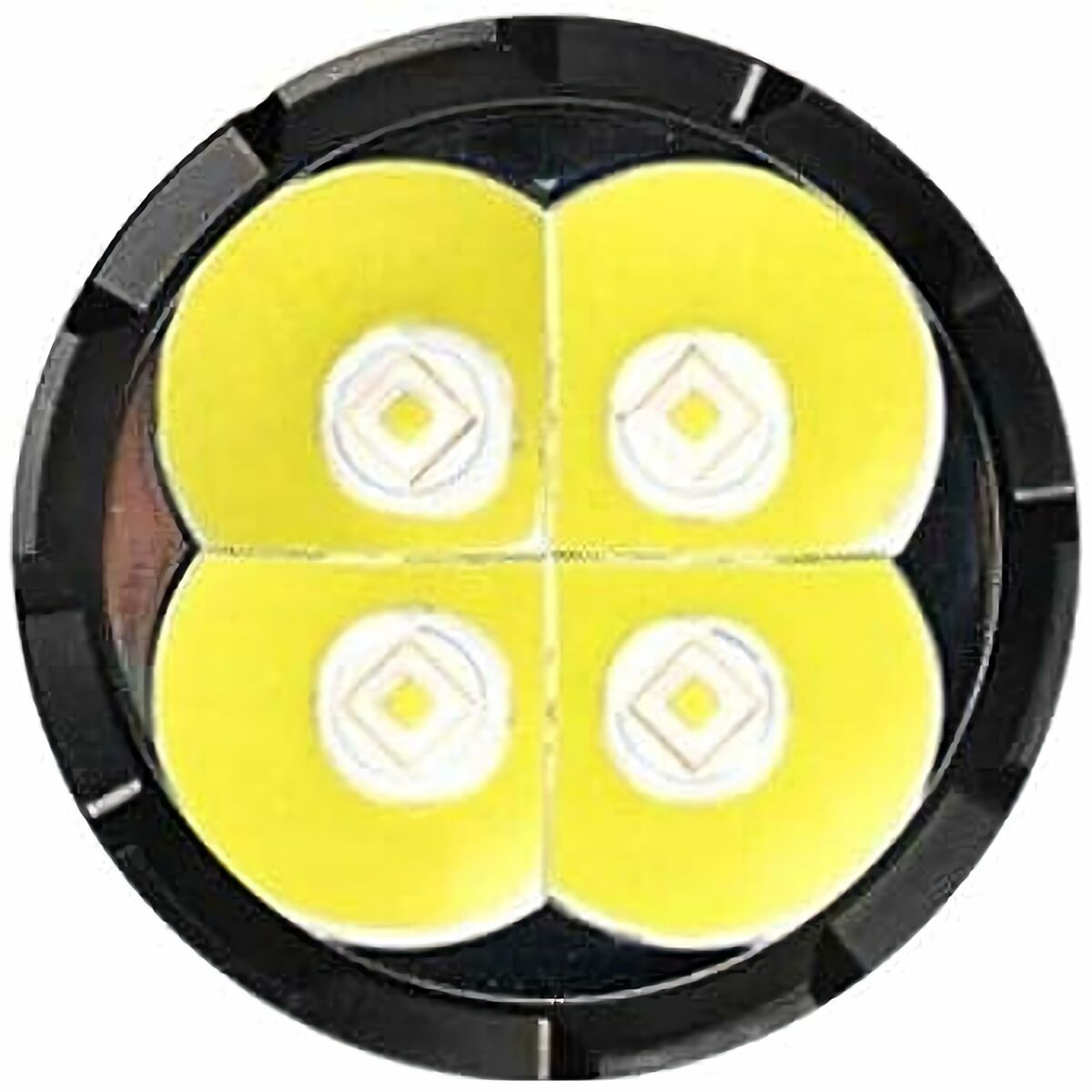 V2H8ACB61B258A259C4BB549CBBD9445518R6238344P2