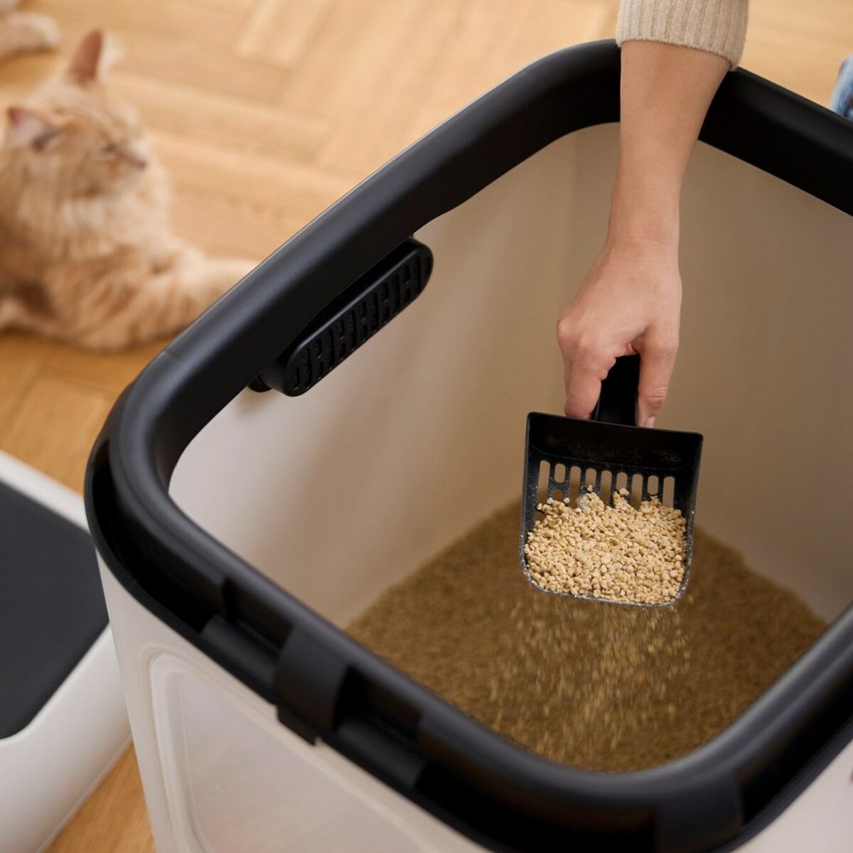 V2H60E424E84BF55634E6B2E3C9E5FE82B8R5624130P6