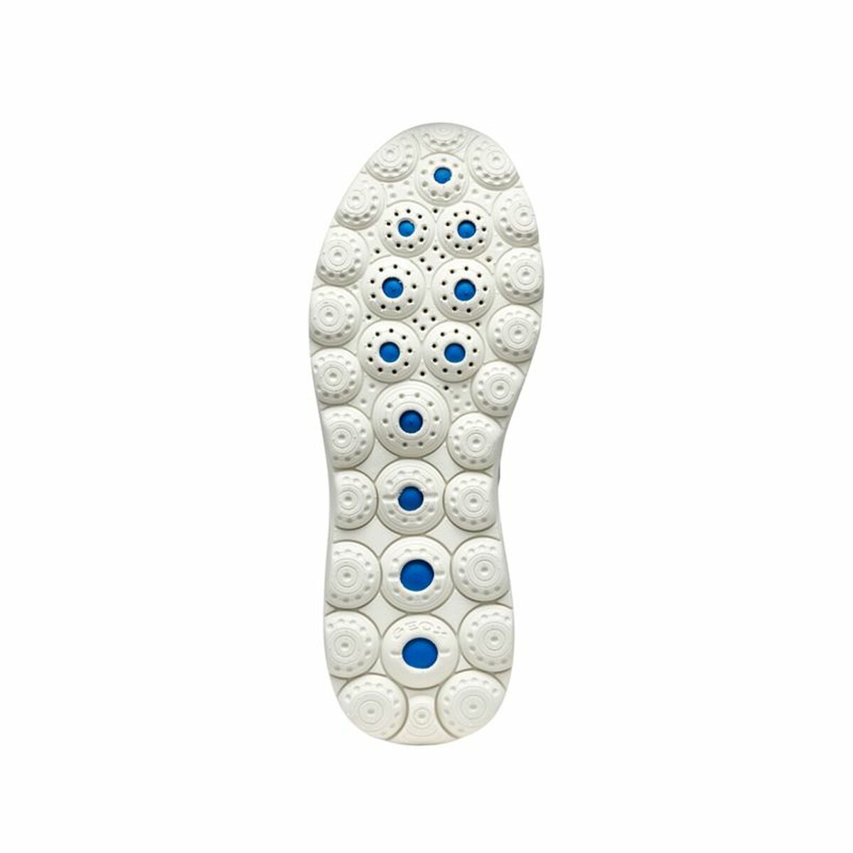 V2H42C26886849552B43C5A935C53887875R6074861P2