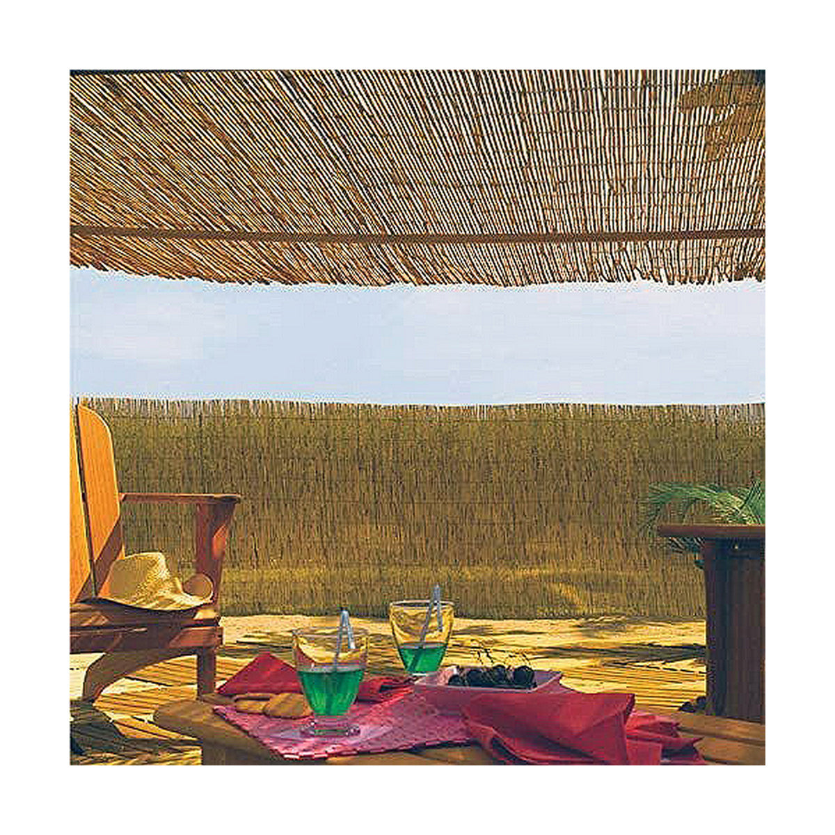 V9H95D9B8705F6E23BA7F21F3CCAD1CA7CBR4670293P2