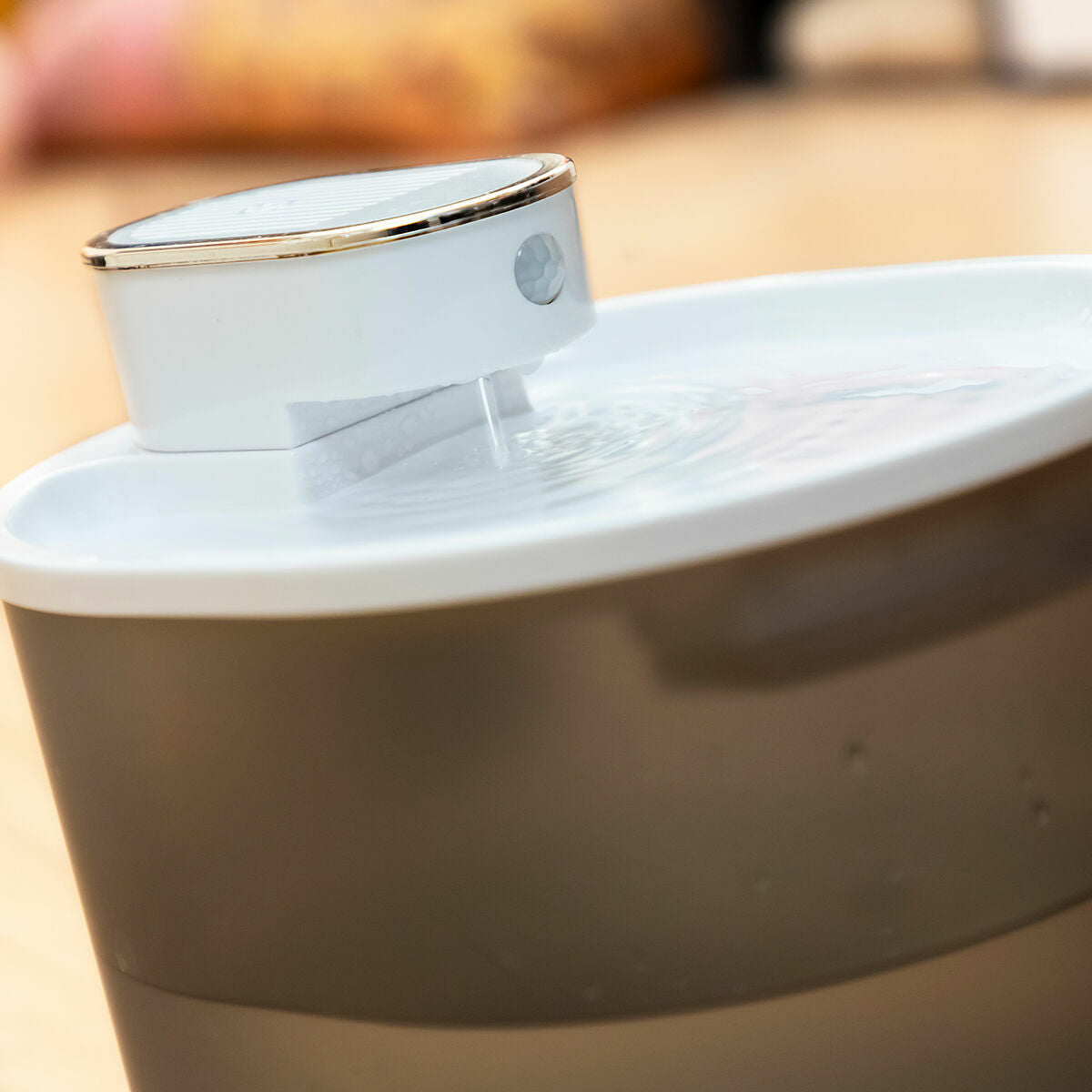 V7HA88E5222C546EB1C57538F84951DFE6ER5279735P2