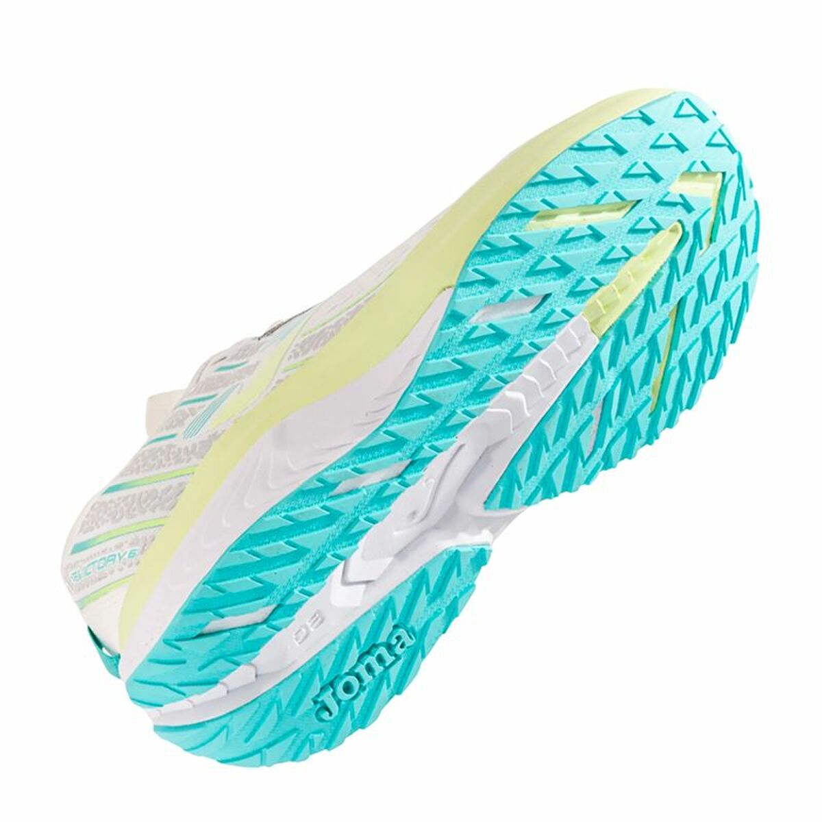 V2H7E2F0CF0816025778D0386D8B13E5078R6073683P2