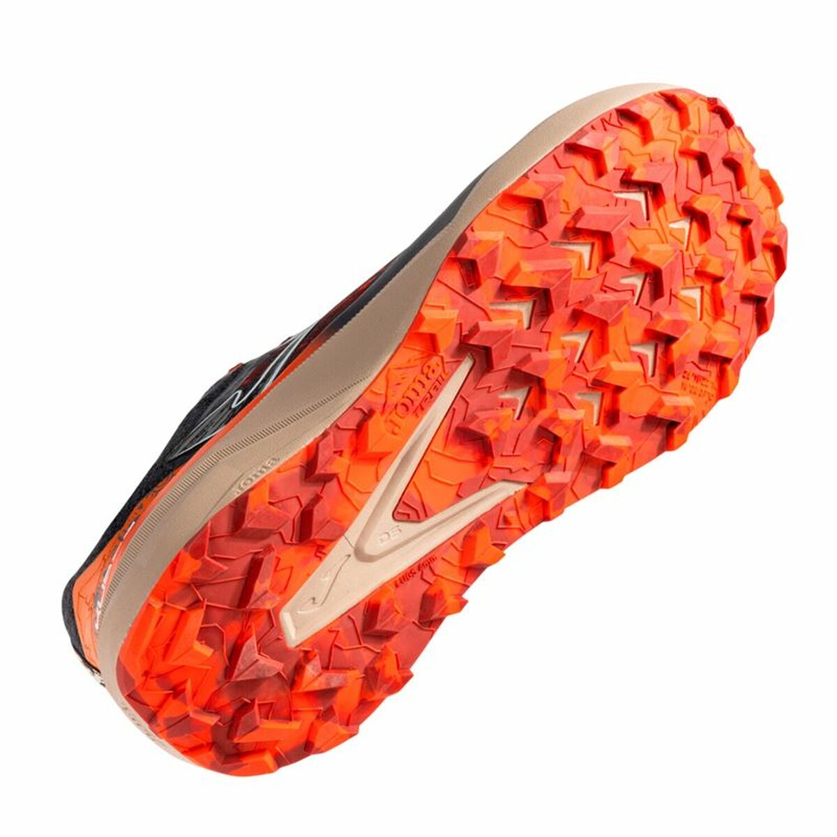 V2H02416A26BA3F0173640ED9AAEDD9360FR6073846P2