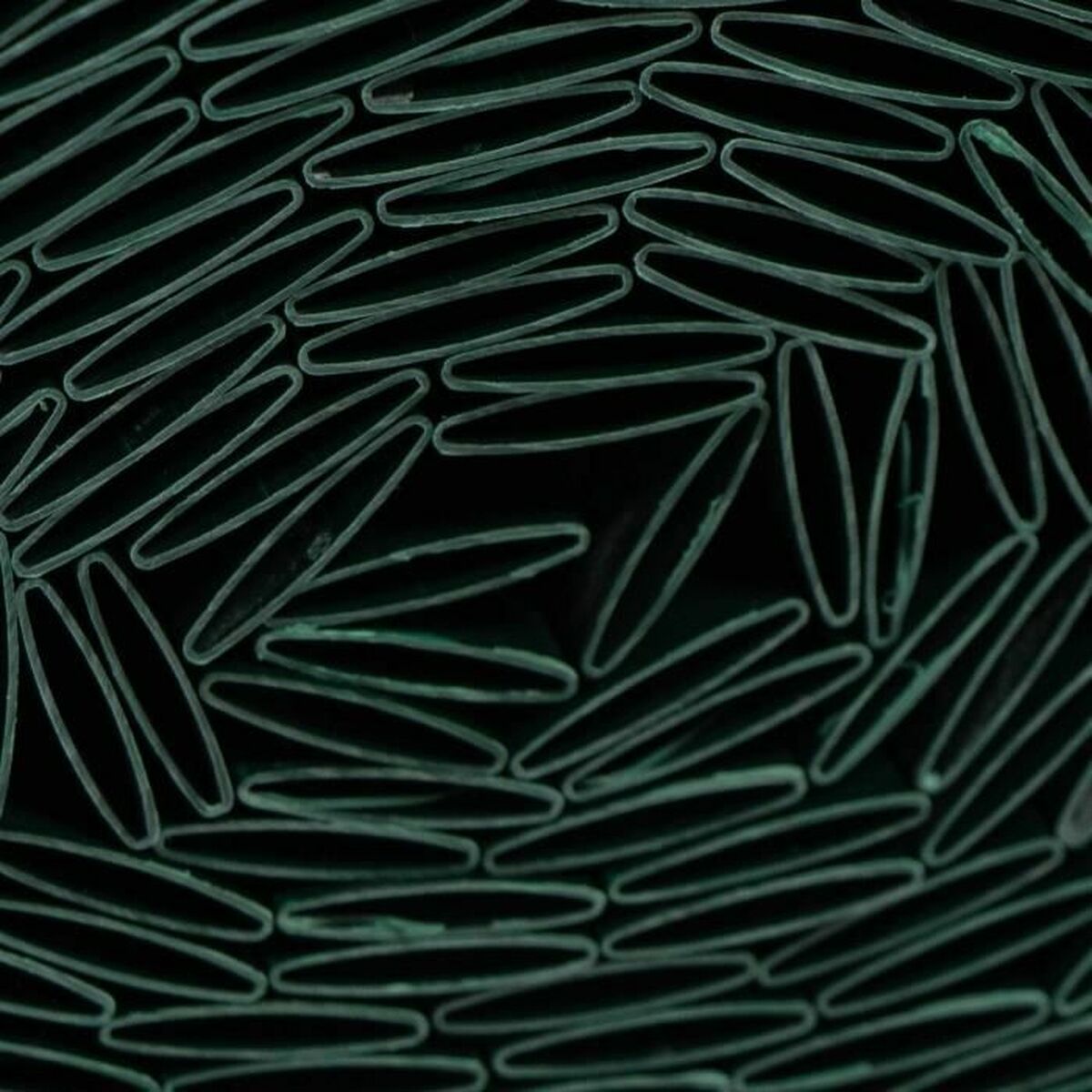 V3HCA4A2C8371172445010A8AC15F2BE351R6467261P2