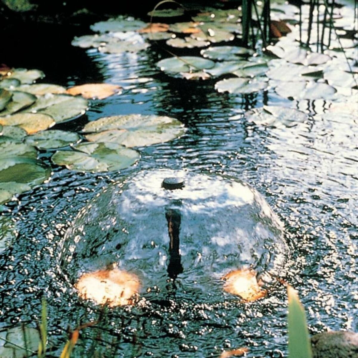 V6HD0055BECCDBFE043F7AA7BE13F9156A7R6468774P5