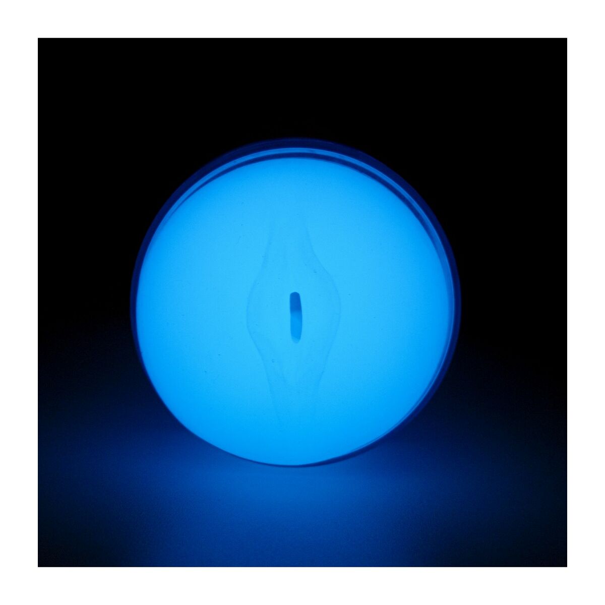 V2HA88DE7580CF0A2F672C4A79CAAD2DB8DR5855616P4