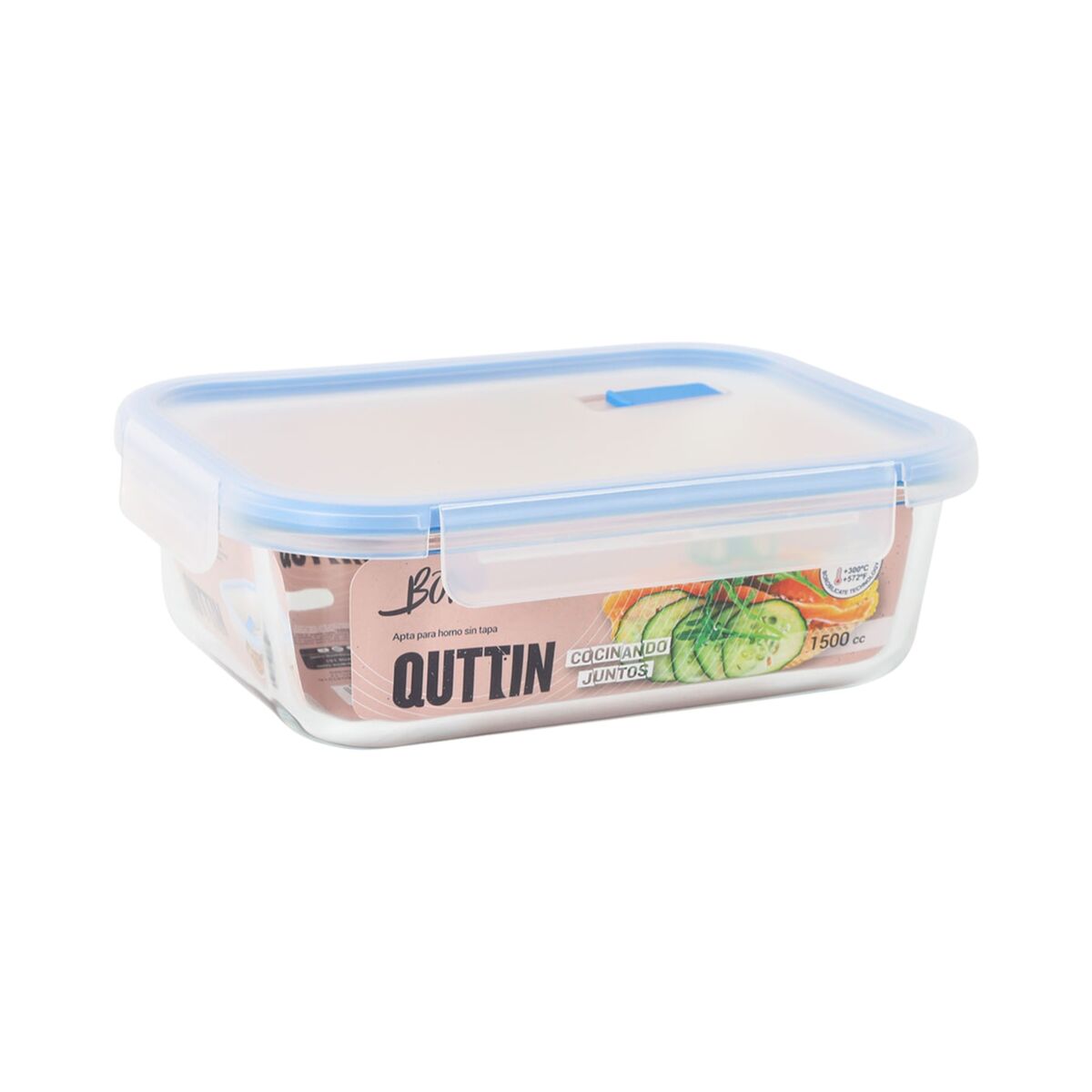 V3H5729CFB58A30207C82A79A32427C2043R5647552P2